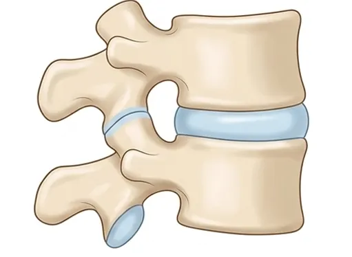 Healthy Disc