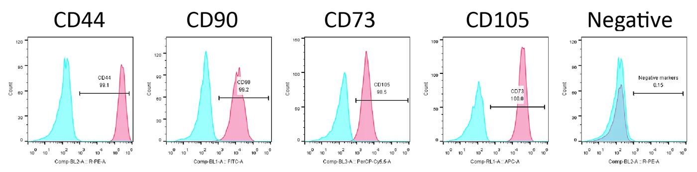 Cell surface marker flow cytometry analysis (microcarriers)