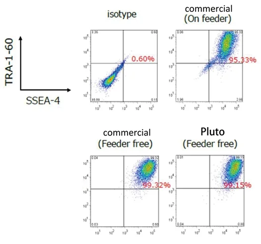 Pluripotency Flow Cytometry