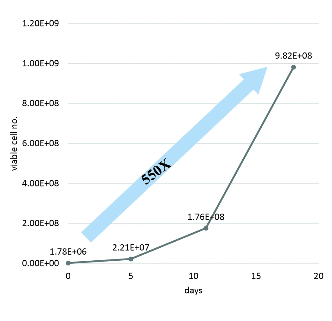 Cell expansion growth curve